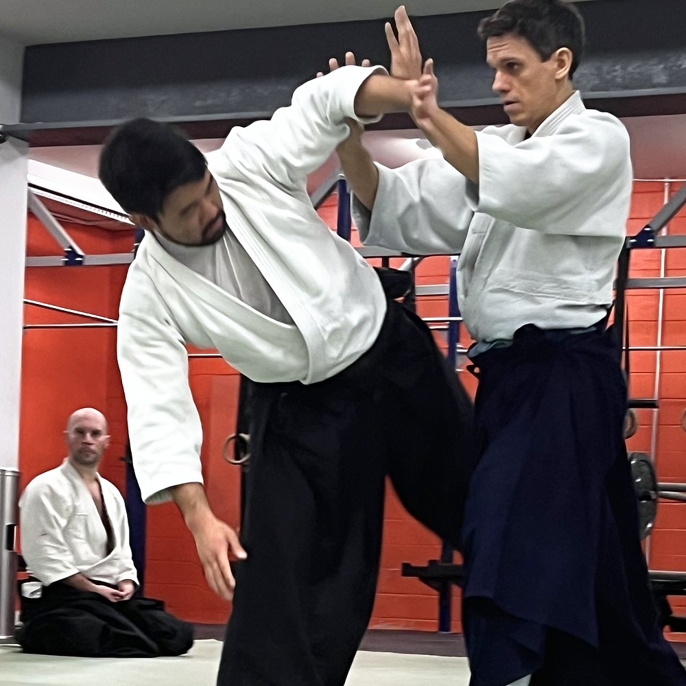 An instructor in hakama sending his partner off balance, the partner’s arm raised overhead